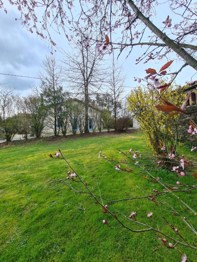 Saint-Pierre-du-CheminLe Terrier Maison De Campagne 250 M2 Grande Capacite 20 Couchages, 4500M2 De Terrain别墅 外观 照片
